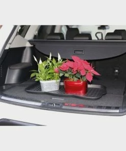 Quest King Of All Trays